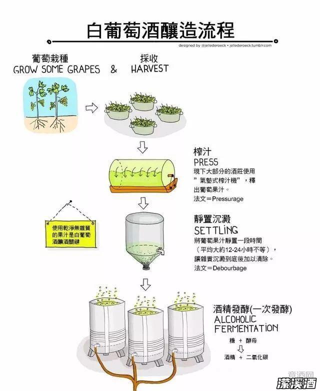 白葡萄酒的酿造方法，了解一下