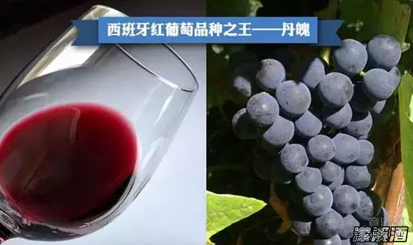 实力证明：中国酿造出顶级葡萄酒