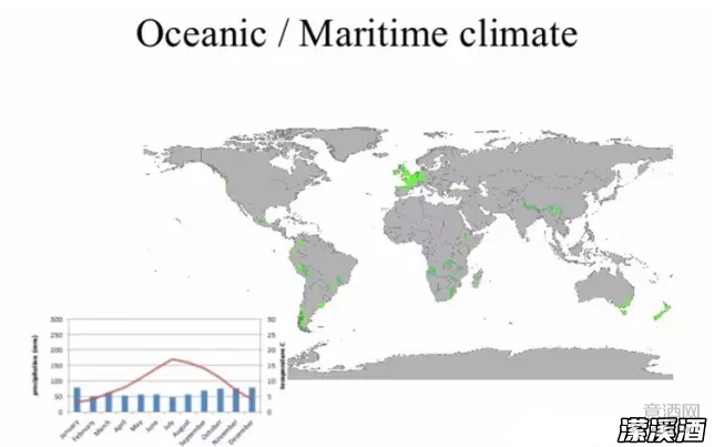 海洋性气候对葡萄酒的影响（上）