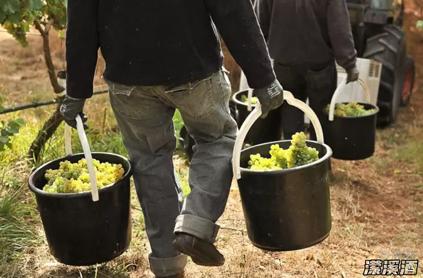 连康帝都开始用的生物动力法，究竟是什么