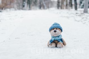 雪熊啤酒，雪熊啤酒哪里产地厂址